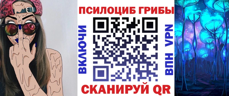 Псилоцибиновые грибы Psilocybe  Ядрин 